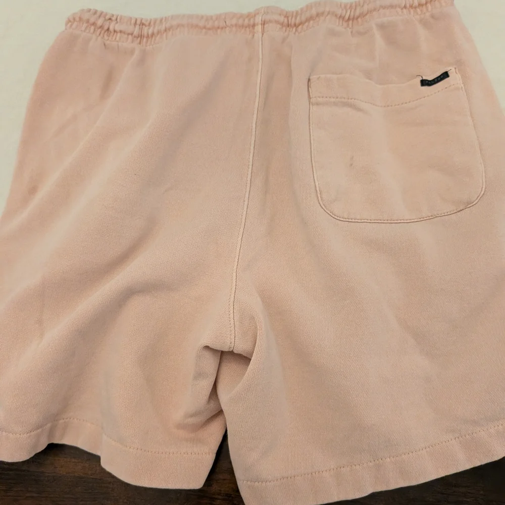 PacSun Blush Mens Summer Shorts